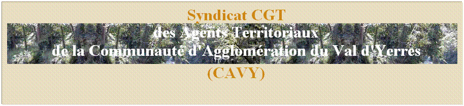 Zone de Texte: Syndicat CGT 
des Agents Territoriaux
de la Communaut d'Agglomration du Val d'Yerres 
(CAVY)
 
